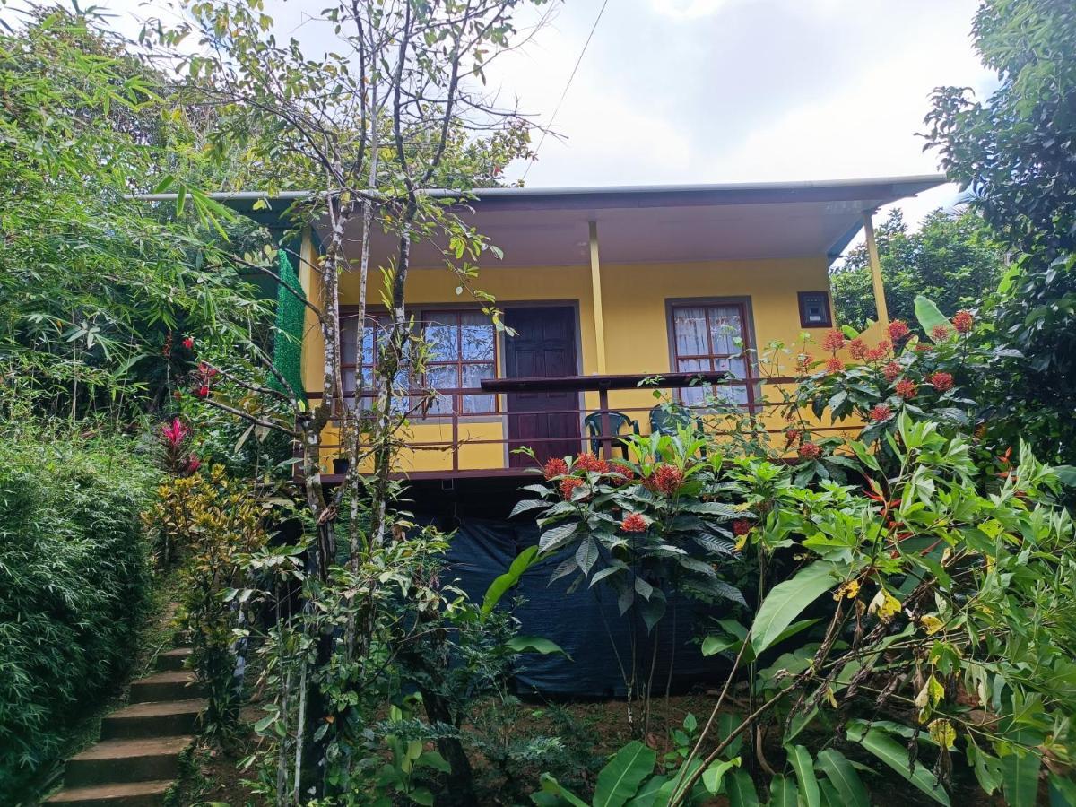 Cabanas Tico Gringo Drake Bay Exterior photo