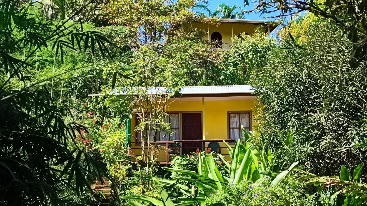 Cabanas Tico Gringo Drake Bay Exterior photo