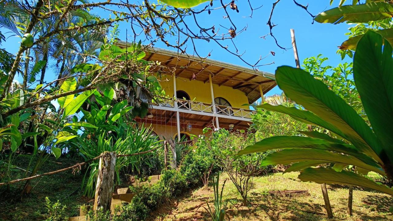 Cabanas Tico Gringo Drake Bay Exterior photo
