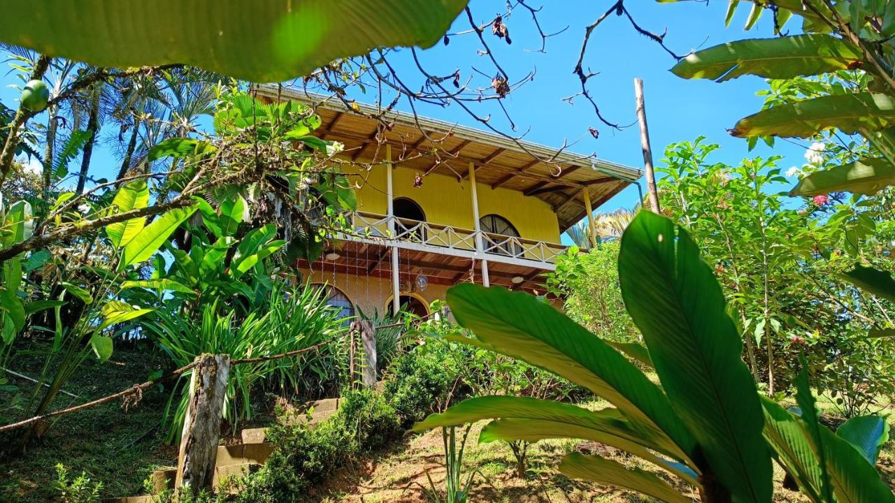 Cabanas Tico Gringo Drake Bay Exterior photo