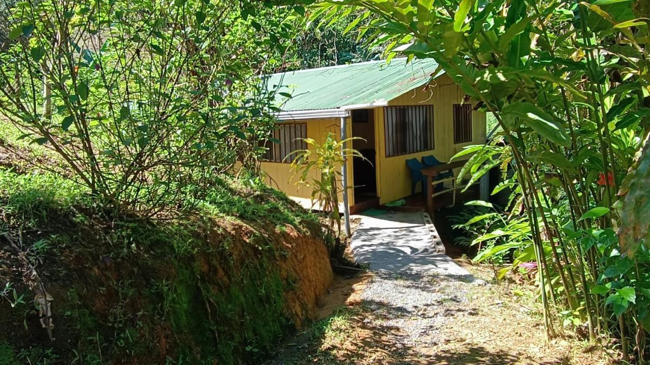Cabanas Tico Gringo Drake Bay Exterior photo