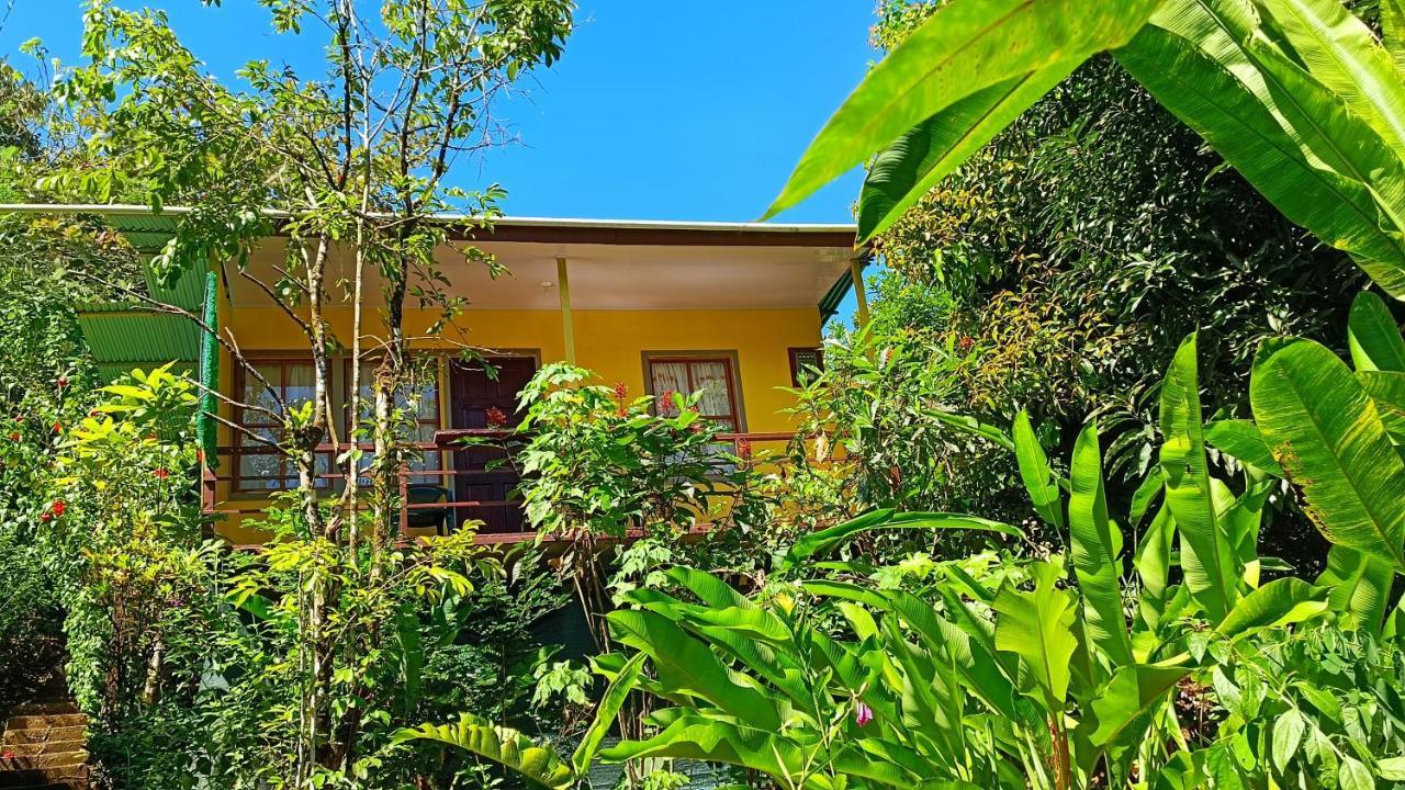 Cabanas Tico Gringo Drake Bay Exterior photo